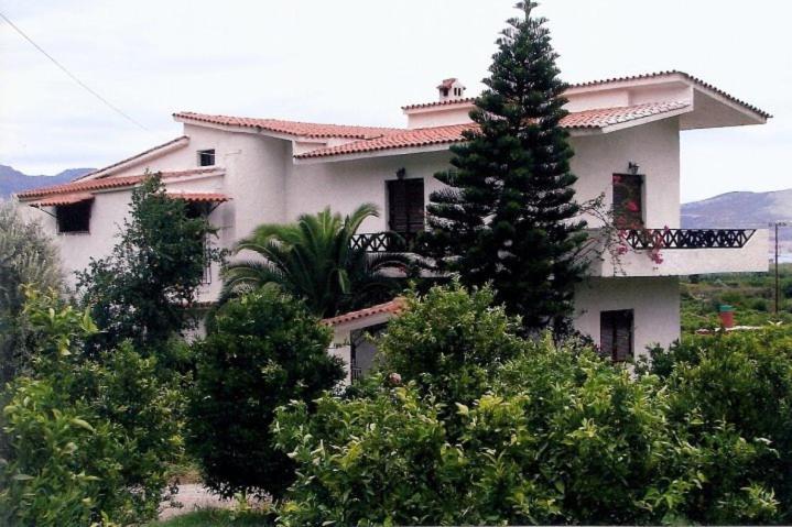 Vila Lemon Tree House Kalloni  Exteriér fotografie